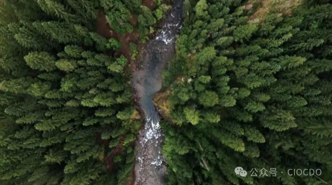 紧急关注：雀巢、玛氏联名上书欧盟！“零毁林法案”再延迟，中国出口面临三大风险